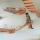 Image for article titled Bored Cats Find Sense of Purpose in Personalized Cat Playgrounds